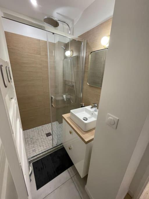 Blue Iro, Lumineux, 4 Chambres, Balcon, 105M2 Сент-Етьєн Екстер'єр фото